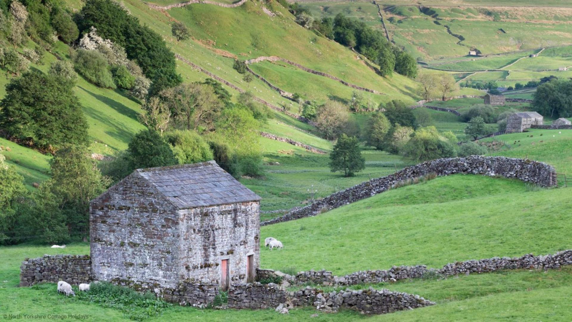 Stone Cottage In Picturesque North Yorkshire Village - Bull Dog Cottage Ampleforth エクステリア 写真